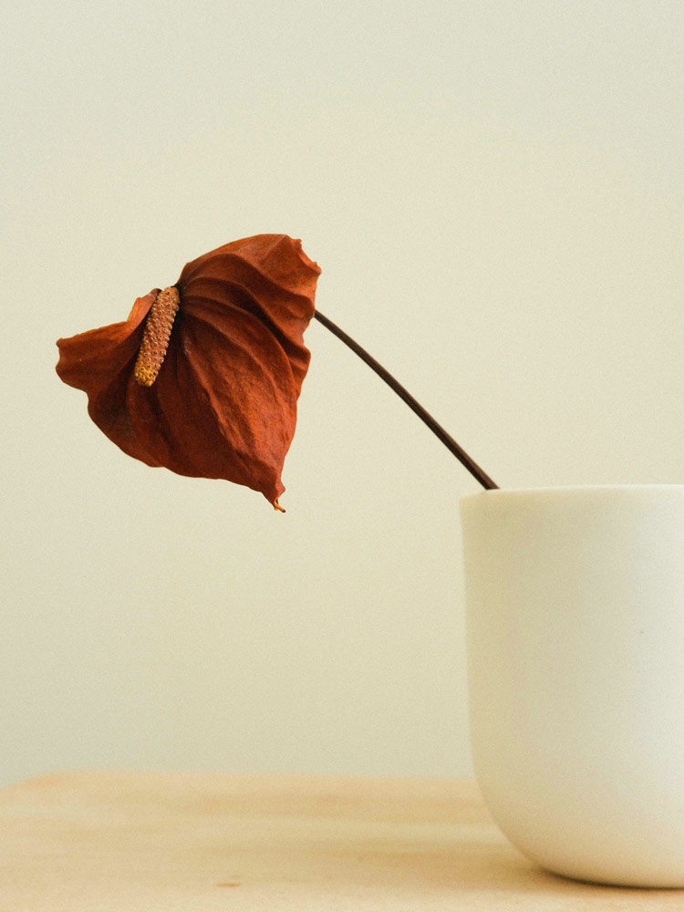 quali sono le regole del minimalismo in casa?
